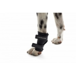 Kruuse Rehab Dog Carpal Joint Protection / Leg Brace